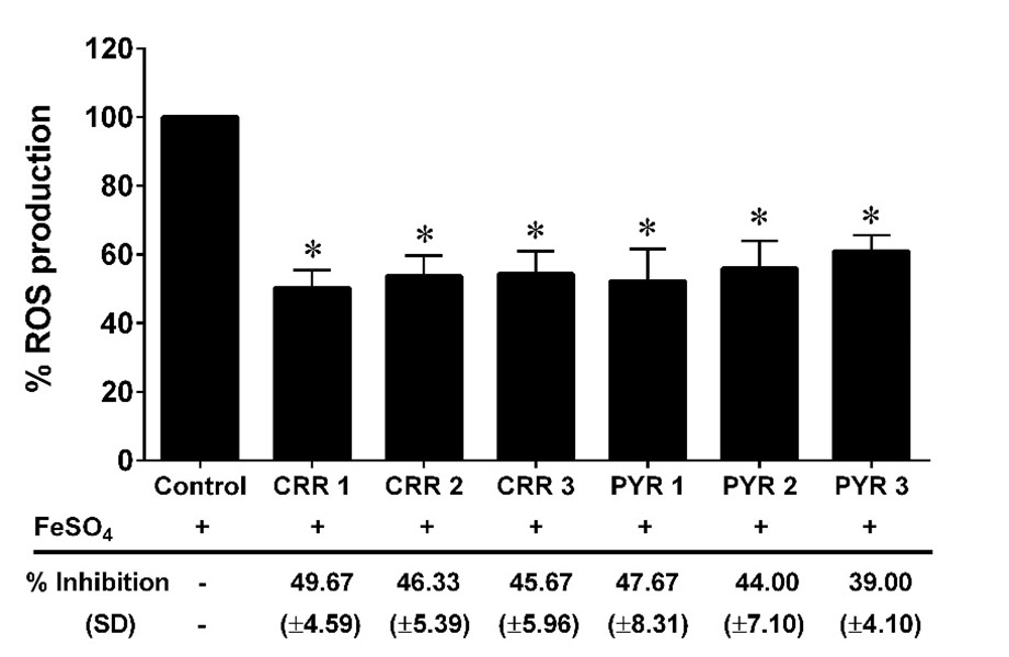 The effect of the extracts on intracellular ROS production in RAW264.7 cells.  The data are presented as mean±SD., *p<0.05 compared to control